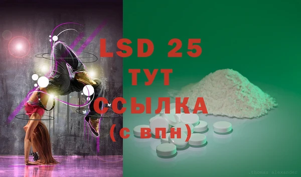 ПСИЛОЦИБИНОВЫЕ ГРИБЫ Майский