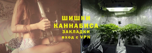 ПСИЛОЦИБИНОВЫЕ ГРИБЫ Майский