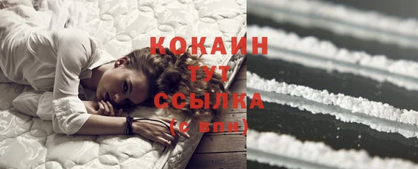 ПСИЛОЦИБИНОВЫЕ ГРИБЫ Майский