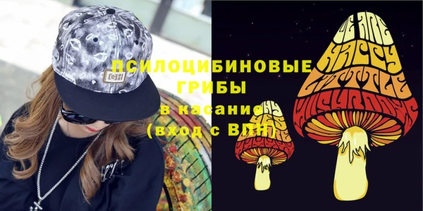 ПСИЛОЦИБИНОВЫЕ ГРИБЫ Майский