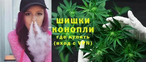 ПСИЛОЦИБИНОВЫЕ ГРИБЫ Майский