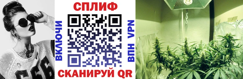Конопля планчик  Купить где  Ханты-Мансийск 